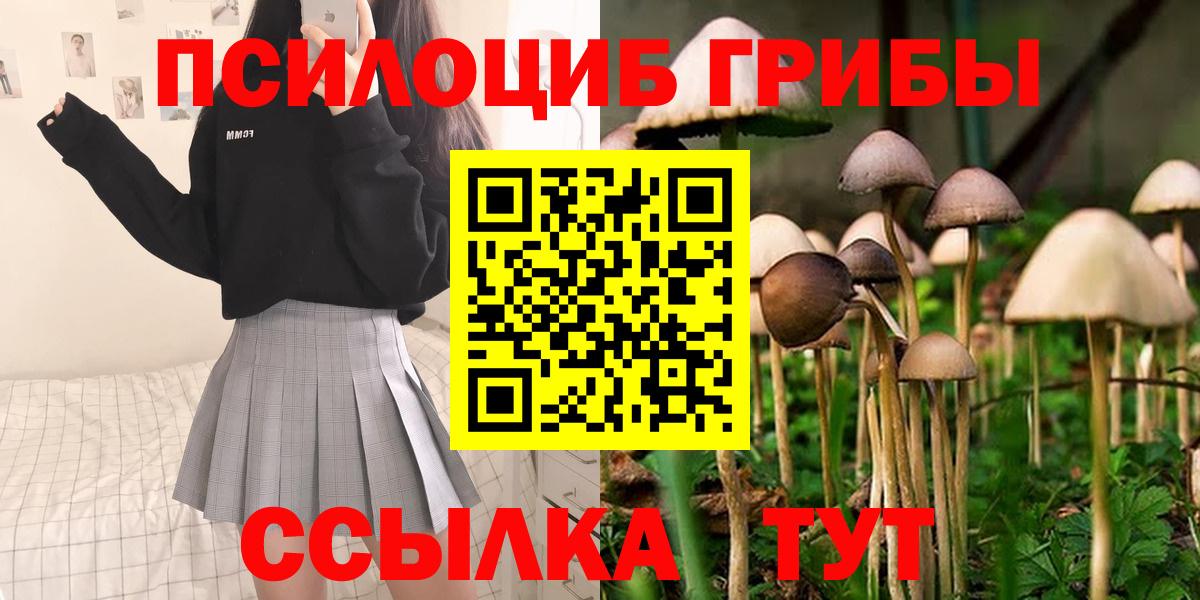 Минусинск  закладки  Вход с VPN  Псилоцибиновые грибы Psilocybine cubensis  Псилоцибиновые грибы мухоморы 