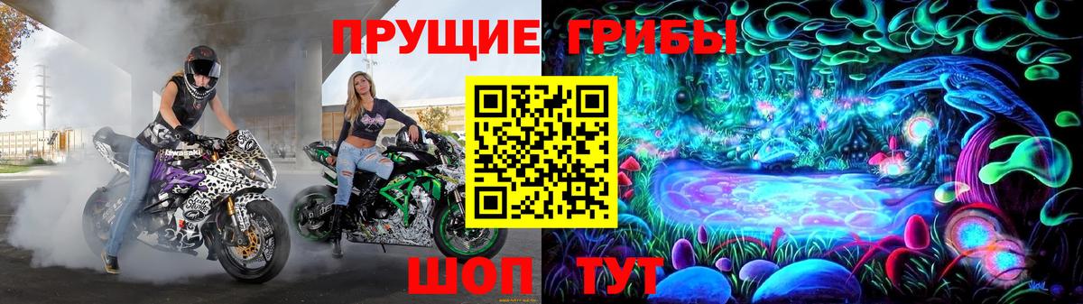 Псилоцибиновые грибы мицелий Минусинск